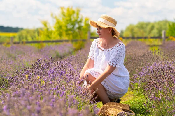 Woman Straw Sunhat Pretty Summer Frock Kneeling Picking Fresh Lavender — Stok fotoğraf