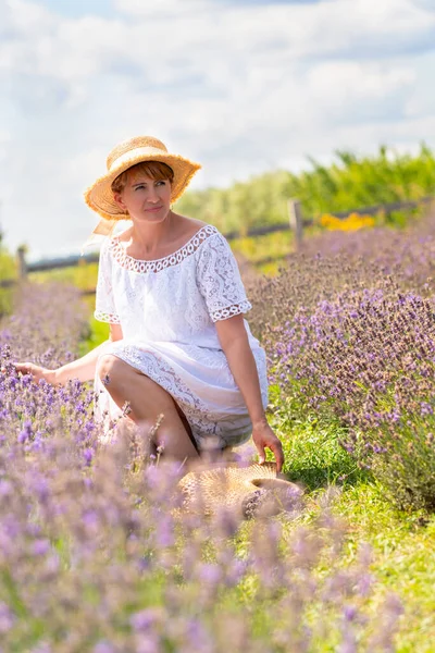 Mature Woman Straw Sunhat White Sumner Dress Kneeling Field Lavender — Stok fotoğraf
