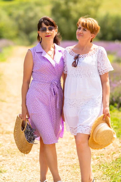 Two Happy Lady Friends Posing Arm Arm Outdoors Farm Summer — Zdjęcie stockowe