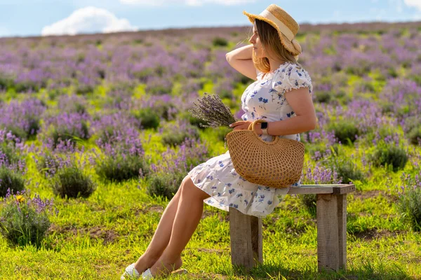 Young Fashion Model Posing Field Lavenderon Wooden Bench Pretty Summer — Stok fotoğraf