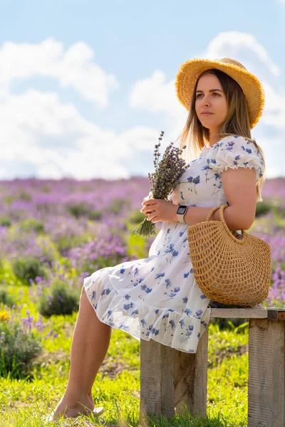 Young Fashion Model Posing Rustic Wooden Bench Field Purple Lavender — Stockfoto