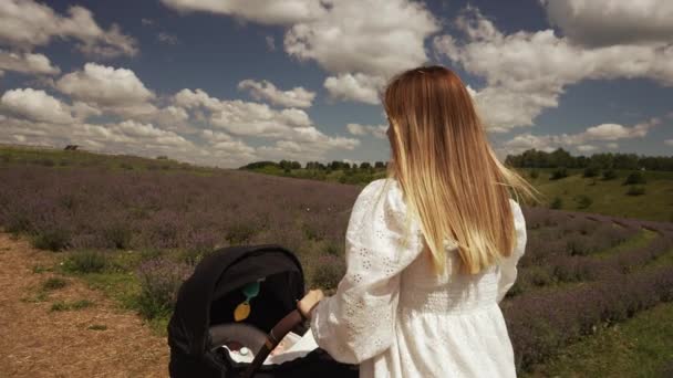 Ανώνυμη Νεαρή Μητέρα Σπρώχνει Ένα Καροτσάκι Εξωτερικούς Χώρους Μέσα Από — Αρχείο Βίντεο