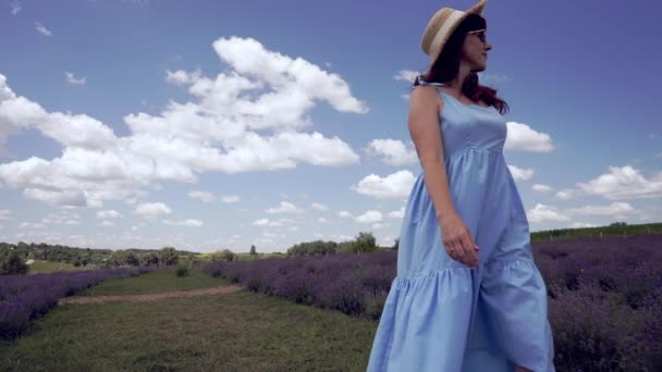 日落时分 女人穿着蓝色的连衣裙 头戴太阳帽 低矮地在薰衣草地里散步 — 图库视频影像