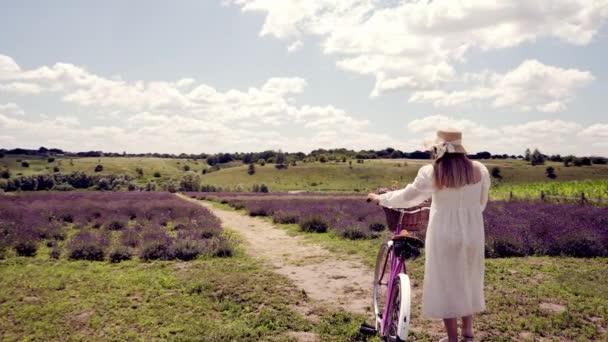 Woman Pushing Her Bicycle Rural Footpath Fields Flowering Purple Lavender — Stockvideo