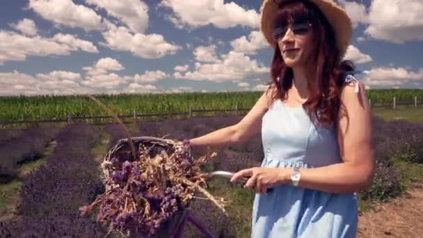 Smiling Woman Pushing Bicycle Basket Freshly Picked Lavender Flowers Farm — Stok video