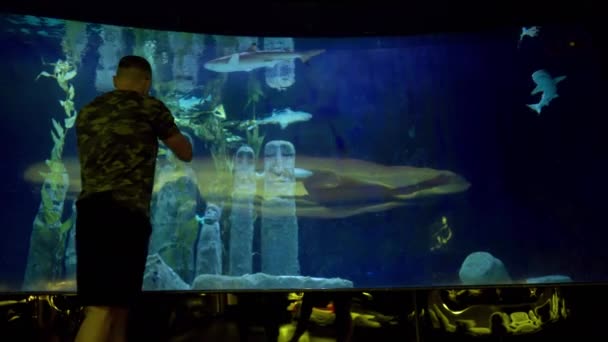 Man Looking Underwater Stone Sculptures Large Aquarium Tank Sharks Circling — Stockvideo