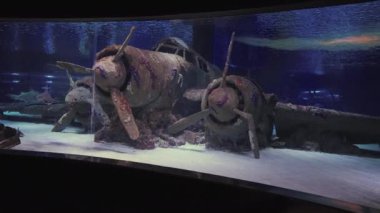 Old wrecked twin engine propellor aircraft underwater in an aquarium tank lying on a rocks on sand