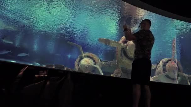 Man Standing Photographing Old Wrecked Airplane Underwater Large Aquarium Tank — Stockvideo