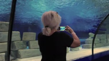 Woman photographing old underwater ruins in an aquarium through the glass tunnel in a marine biology and tourism concept