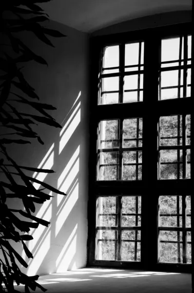 Intersection de lumière contrastée de la fenêtre du château — Photo