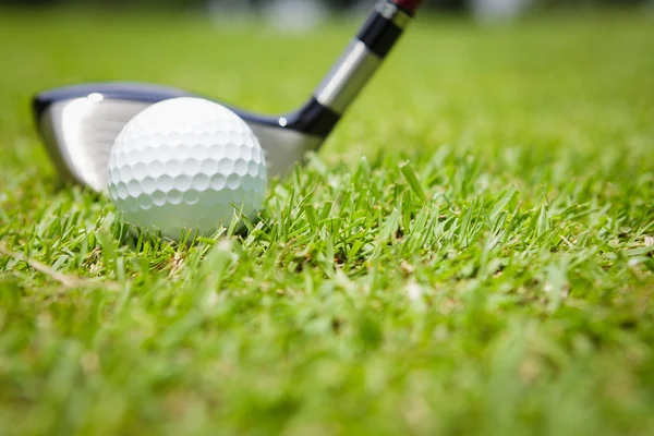 Golf ball in green grass — Stock Photo, Image