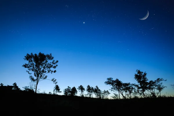 Natt sunrise landskap med månen, träd silhouette, stjärnor — Stockfoto