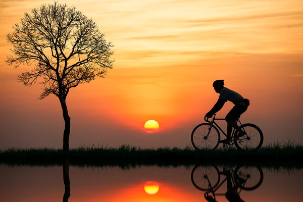Silhuetten av en cyklist vid solnedgången — Stockfoto