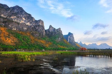 Lotus Gölü khao sam ROI yot Milli Parkı