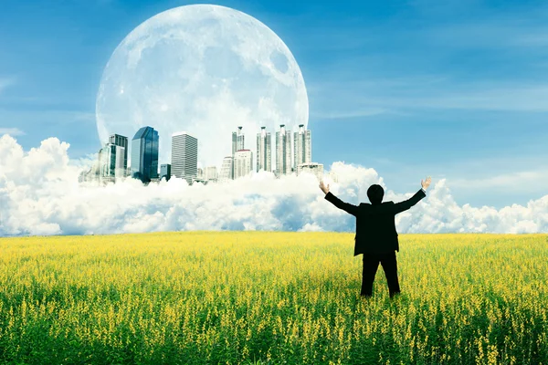 Businessman standing on the field and watching the future city o — Stock Photo, Image