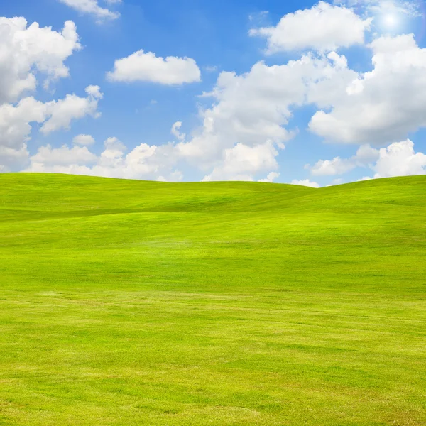 Grönt gräs fält — Stockfoto