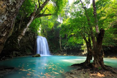 derin orman şelale içinde kanchanaburi, Tayland