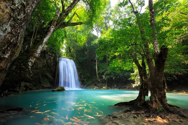 Djupa skogen vattenfall i kanchanaburi, thailand — Stockfoto