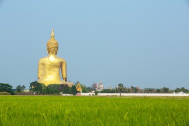 wat muang Buda heykeli