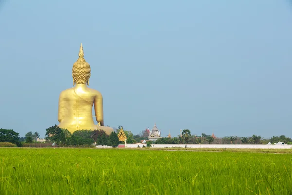 Estátua de Buda em Wat Muang — Fotografia de Stock