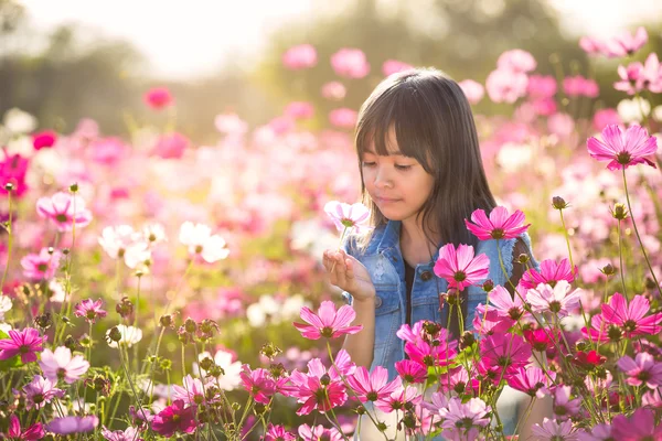 Liten asiatisk tjej i kosmos blomma fält — Stockfoto