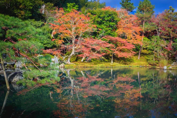 Krajobraz Jesiennego Parku Japonia — Zdjęcie stockowe