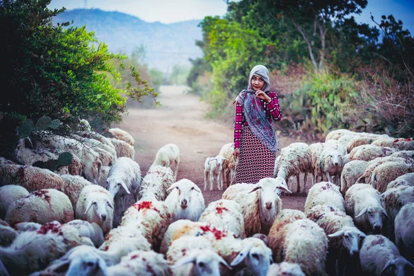Kobieta Pasterz Małymi Owcami — Zdjęcie stockowe