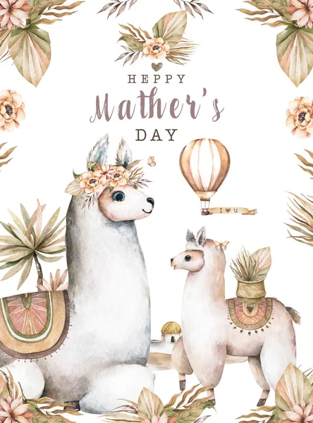 Cartoon llama baby mother day greeting card. Cute llamas alpaca characters smiling, walking, in Peru desert landscape with cactuses. Mexican funny lama animal collection isolated on white Stock Picture