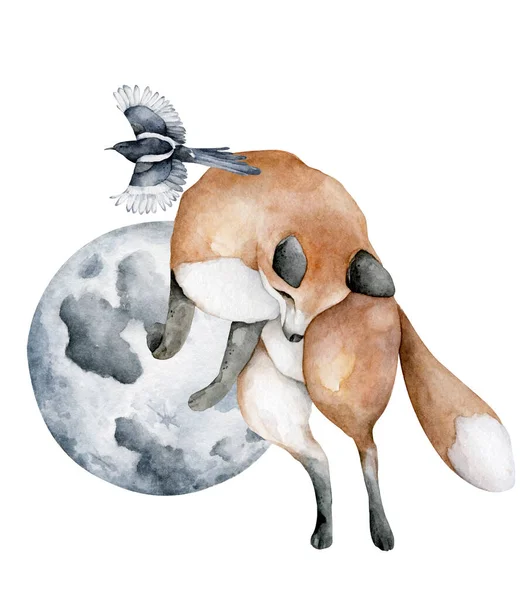 Fox Aquarell isolierte Illustration auf weißem Hintergrund. Waldtiere — Stockfoto
