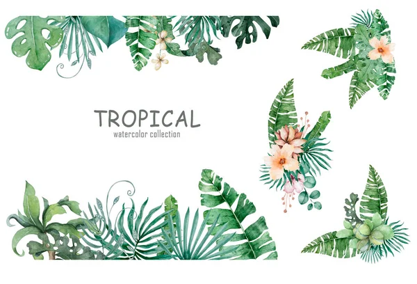 Dedaunan Tropis Latar Belakang Desain Floral — Stok Foto