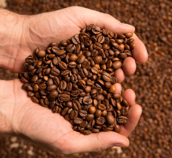 kalp boş el kahve tanelerinin