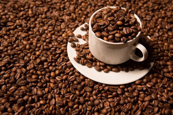 Cup with coffee beans on a dark background — Stock Photo, Image