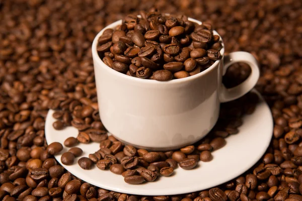 Cup with coffee beans on a dark background — Stock Photo, Image