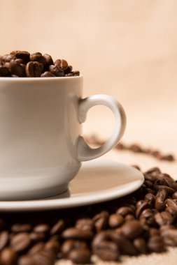 kahve çekirdekleri Kupası