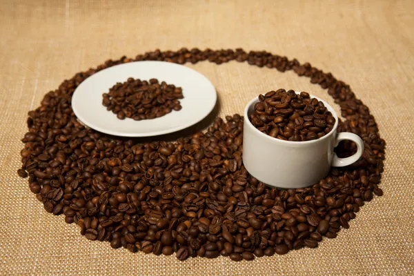 Coffee beans in the cup — Stock Photo, Image