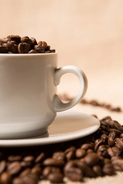 Coffee beans in the cup — Stock Photo, Image