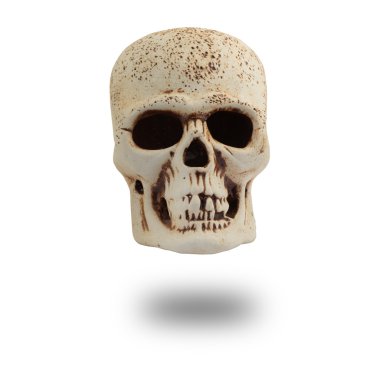 Beyaz arka planda izole edilmiş insan kafatası.