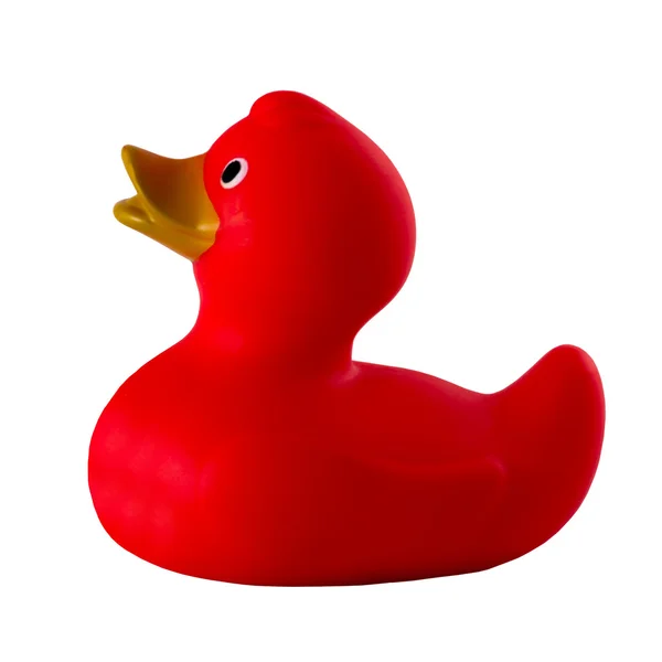 beyaz izole tek kırmızı ördek