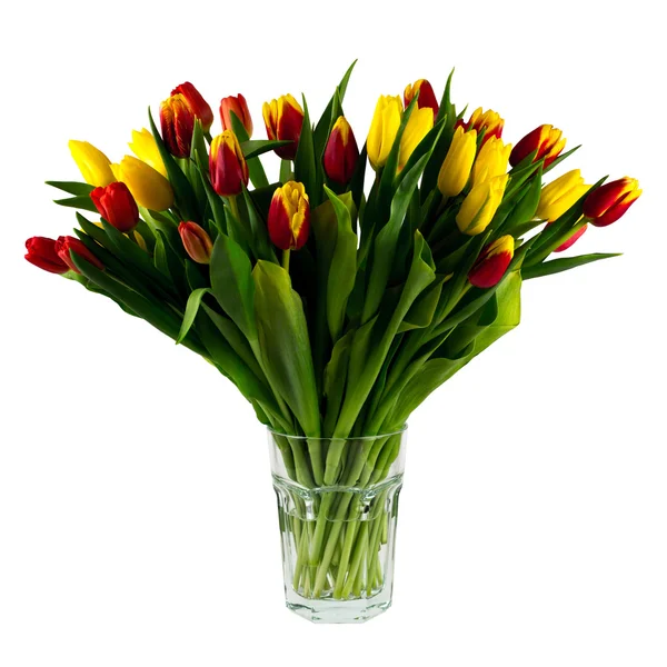 Vase with tulips isolated on a white background — Stock Photo, Image