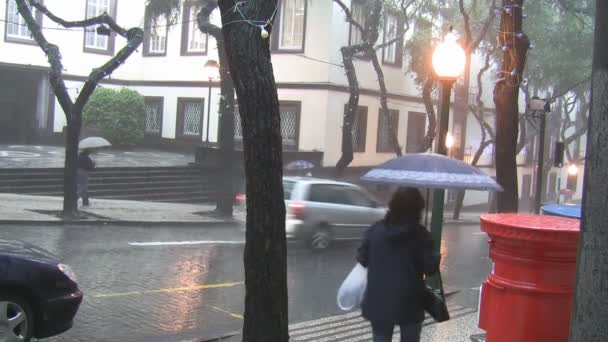 Lluvia en la ciudad — Vídeos de Stock