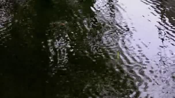 Fishing bobber in a rippled water — Stock Video