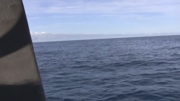 Sea view from a sailing ship — Stock Video