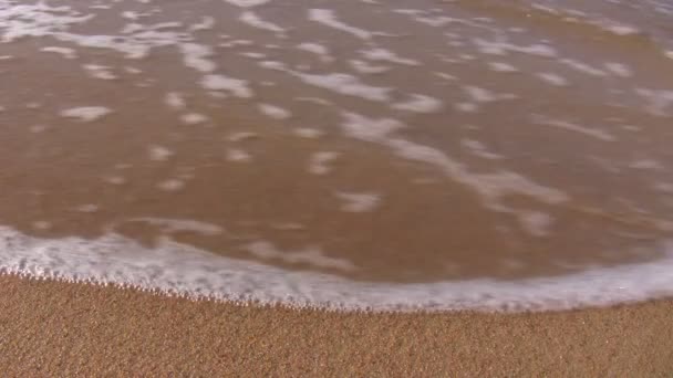 Sea wave wipes flat beach sand — Stock Video