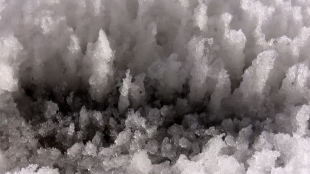 Tání sněhu - stalagmit obdobné formace — Stock video