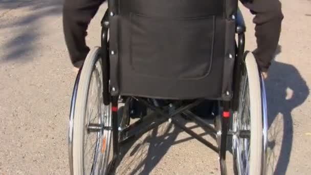 Man in a wheelchair rear view — Stock Video