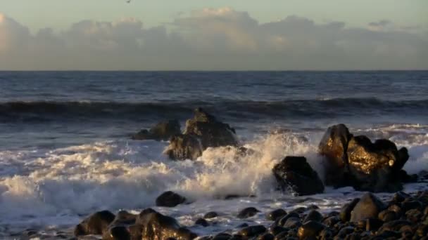 Океан на рассвете — стоковое видео
