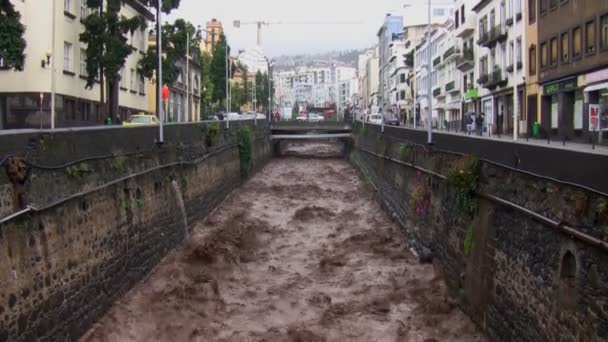 Οργισμένος ποταμός στην πόλη Funchal — Αρχείο Βίντεο