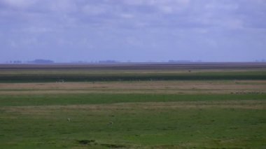 dışarı düz yatay yakınlaştırma