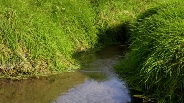 Source de la rivière — Video