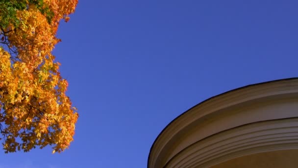 Edificio redondo, cielo azul y hojas doradas — Vídeos de Stock